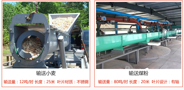 絞龍螺旋輸送機輸送小麥輸送量在12噸/時，長度為25米，葉片采用不銹鋼材質(zhì)；輸送水泥輸送量在80噸/時，長度為20米，葉片設(shè)計為有軸。