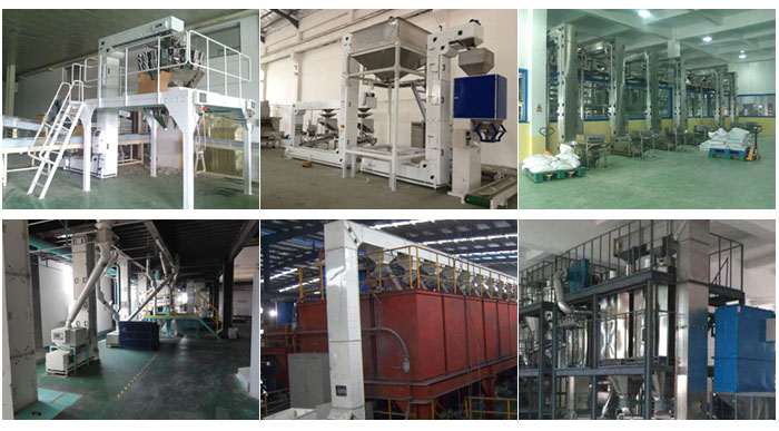 z型斗式提升機食品廠配合包裝機輸送，輸送小麥，碎礦石輸送等現(xiàn)場案例展示。